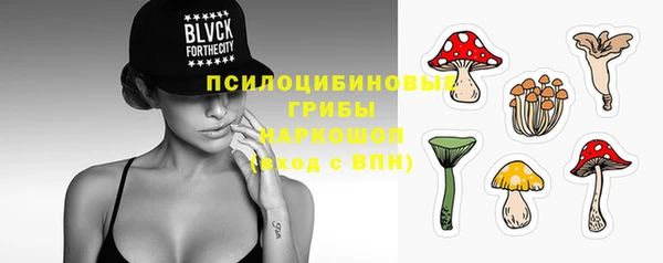 прущая мука Кулебаки